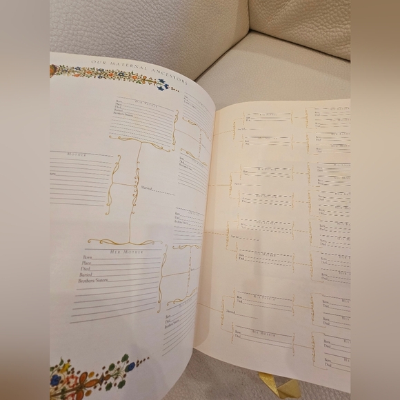 The Holy Bible Book Illuminated Family Edition Illustrated 2000 By Lionheart - Picture 7 of 9